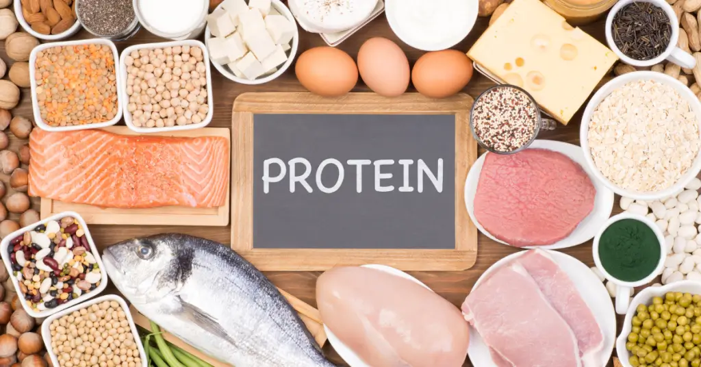 Imagem para O Guia Completo sobre a Proteína: Quanto, Quando e Qual Tipo Consumir?